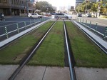 電車軌道式芝生.JPG