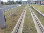 D1020001.JPG