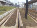 D1020003.JPG