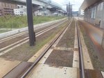 D1020004.JPG
