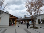 PXL_20250330_044426483.jpg